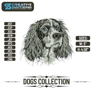 Springer Spaniel Dog Embroidery Designs Springer Spaniel Dog Machine Embroidery Designs Digital file Instant Download