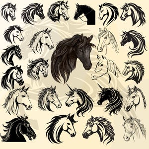 25 Horse Heads SVG Bundle, Horse Silhouette, SVG, PNG, bundle, Designs for Silhouettes Heads and More - Vector File Transparent Background