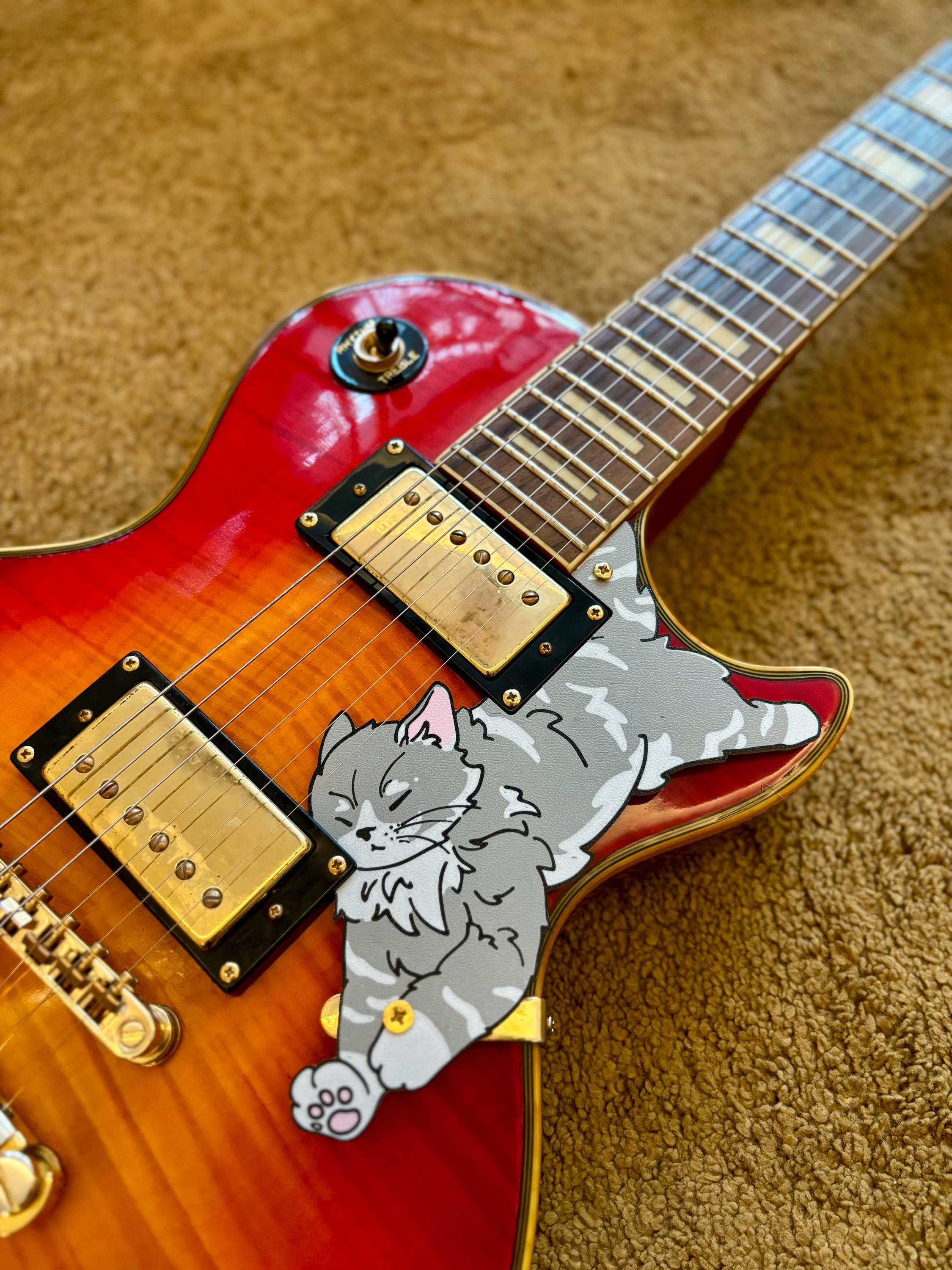 レスポール キャット ピックガード、「レス ポー」 | エピフォンの