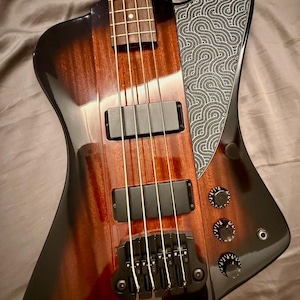 Epiphone Thunderbird Truss Rod Cover - Etsy