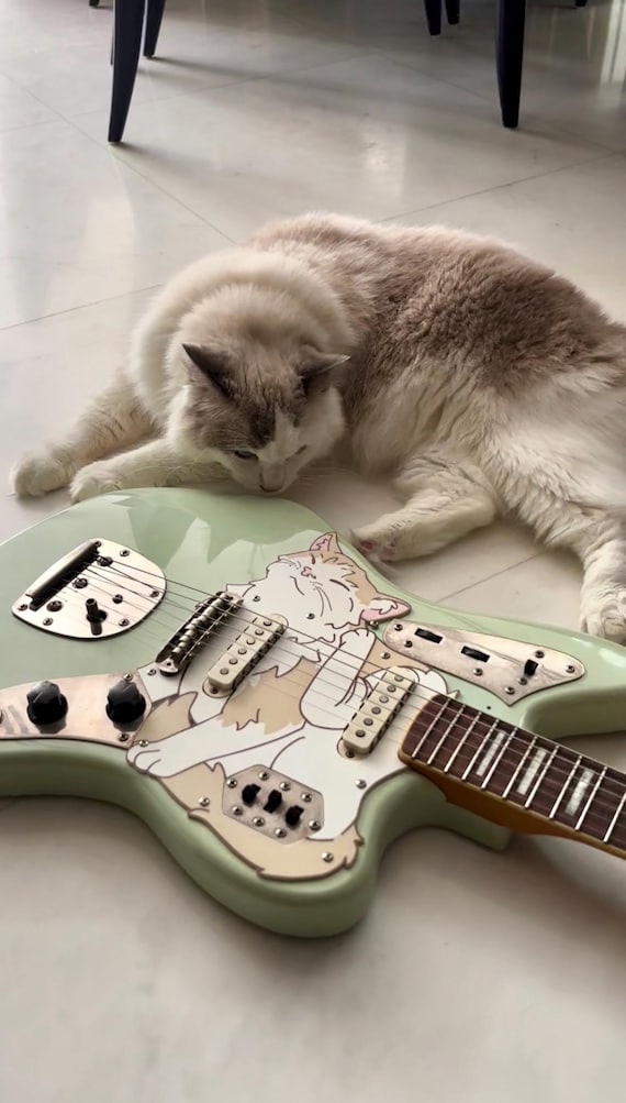Jaguar Cat ピックガード - Squier Classic Vibe Jaguar ギター用