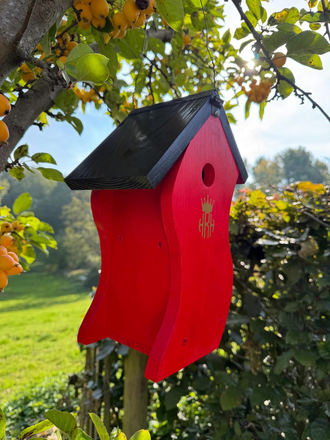 Handmade Quirky Bird Box, Grown in Britain Timber - Etsy UK