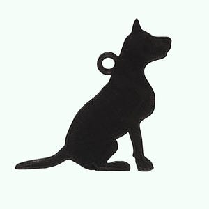 Dog X-Ray KeyChains - Anatomical Skeleton Keyring - Veterinary Gift, Science lover, Radiology, Pet lover Gifts