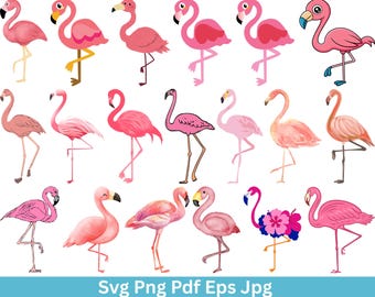 Paquete SVG de flamencos: imágenes prediseñadas, vectores y archivos de corte (descarga digital)