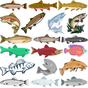 Könnte beinhalten: Eine Sammlung verschiedener Fischillustrationen in unterschiedlichen Farben und Stilen. Das Bild zeigt Darstellungen von Forellen, Lachsen und anderen Wasserarten, die eine Farbpalette von Grün und Rot bis hin zu Braun- und Blautönen aufweisen.