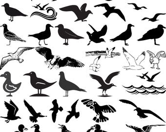 Seagull SVG-bundel, kustvogel vectorclipart (digitale download)