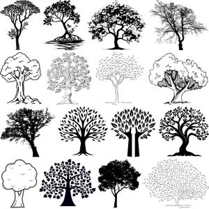 Tree svg Bundle, Tree Of Life Clipart, Celtic Tree Of Life svg, Tree Cut Files for Cricut, Tree silhouette, Summer Tree Svg, Winter Tree