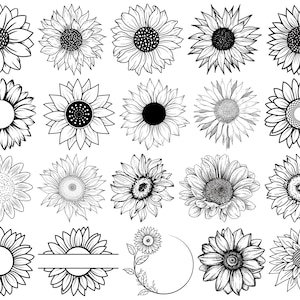 Sunflower SVG Bundle: Cricut Cut File, Clipart, Silhouette (Digital Download