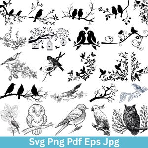 May include: A collection of black and white bird illustrations, including various species perched on branches, some with floral and decorative elements. The image includes the text "Svg Png Pdf Eps Jpg".