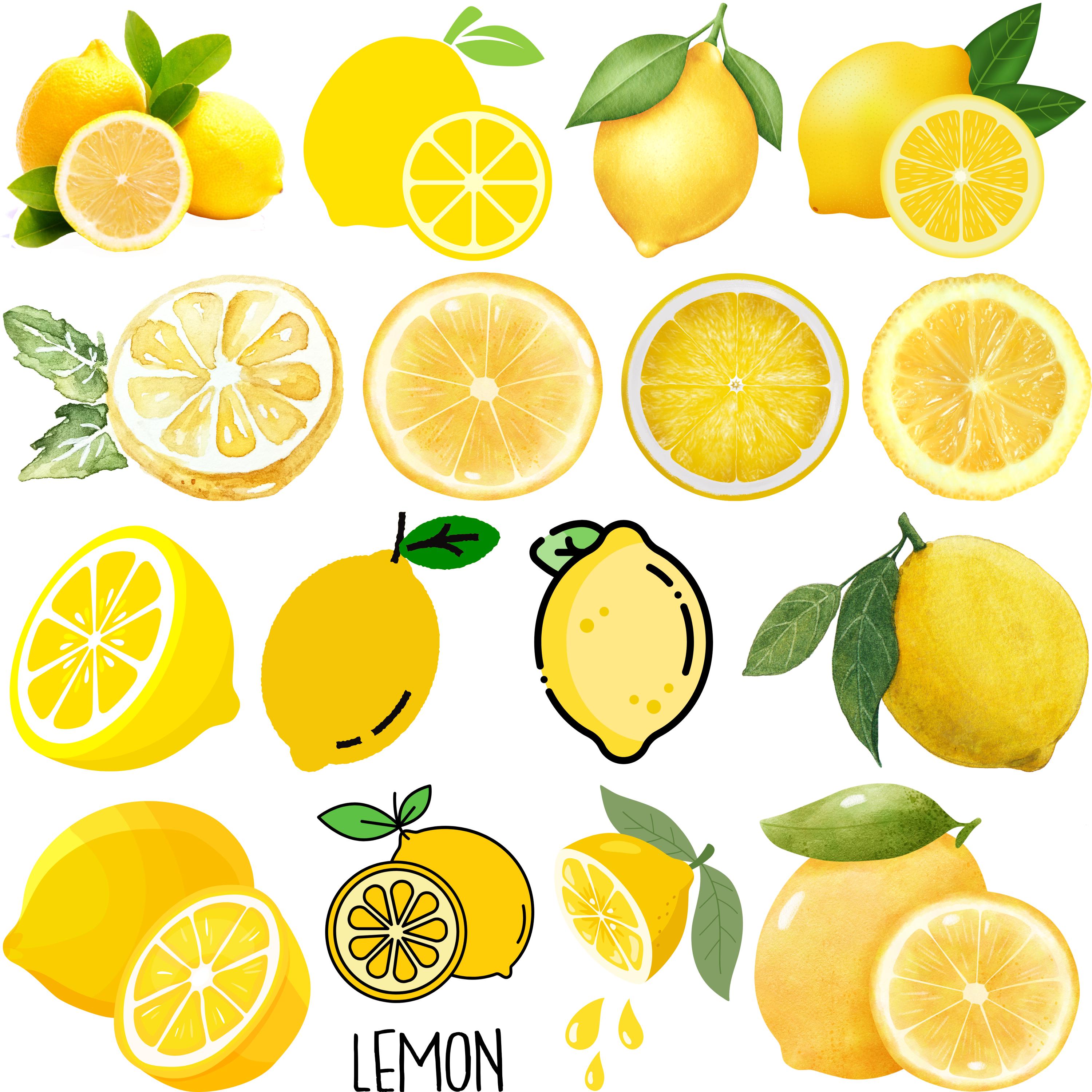 Lemon Wedge Clipart - Etsy, image size:3000x3000