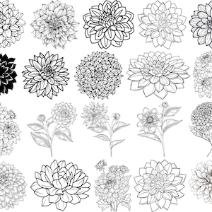 May include: A selection of black and white dahlia flower illustrations. The image showcases diverse styles, including detailed line drawings, solid silhouettes, and floral arrangements with stems and leaves. The flowers are in full bloom, with intricate petal patterns.
