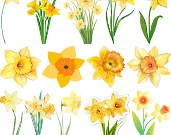 Daffodil SVG Bundle: Spring Flower Clipart, Floral Cut Files (Digital Download)