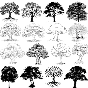 May include: A collection of 16 black and white tree illustrations. The trees vary in style, from detailed line drawings to solid silhouettes. Some trees have exposed roots, while others feature dense foliage.