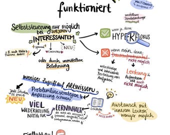 ADHD ADHD Psychoeducation Info Sheet Parents Information about ADHD Neurodivergence