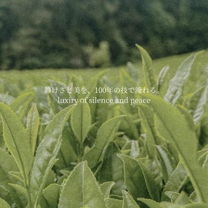 SHUNKO - 旬香: elegante umami en rijke smaak afbeelding 4