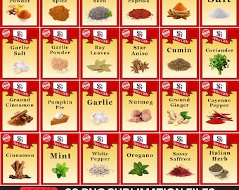 Plus de 60 Spice Girls assortis Halloween PNG Bundle, groupe Halloween chemise, tablier Png, Spice Group Girl Costume de Thanksgiving PNG, épices étiquettes Png