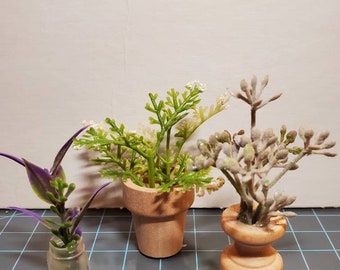 Plantas de interior en miniatura, escala 1:6, juego de 3 suculentas