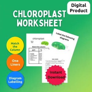 Puede incluir: Una hoja de trabajo digital sobre cloroplastos con actividades educativas que incluyen emparejar columnas, frases cortas y etiquetado de diagramas. Páginas blancas con texto negro e ilustraciones verdes de cloroplastos sobre fondo verde.