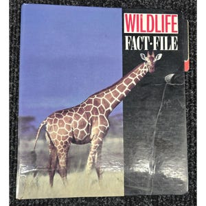 Vtg Wildlife Fact File Ring Binder Reference Set Tabbed 90+ Cards Animal Learn