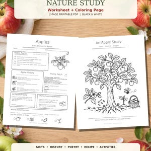 Könnte beinhalten: Ein zweiseitiges, druckbares PDF-Arbeitsblatt und eine Malvorlage mit dem Titel Apple Nature Study. Das Dokument enthält schwarz-weiße Illustrationen von Apfelbäumen, Blüten und einem Korb sowie Textabschnitte zu Fakten, Geschichte, Gedichten und einem Rezept.