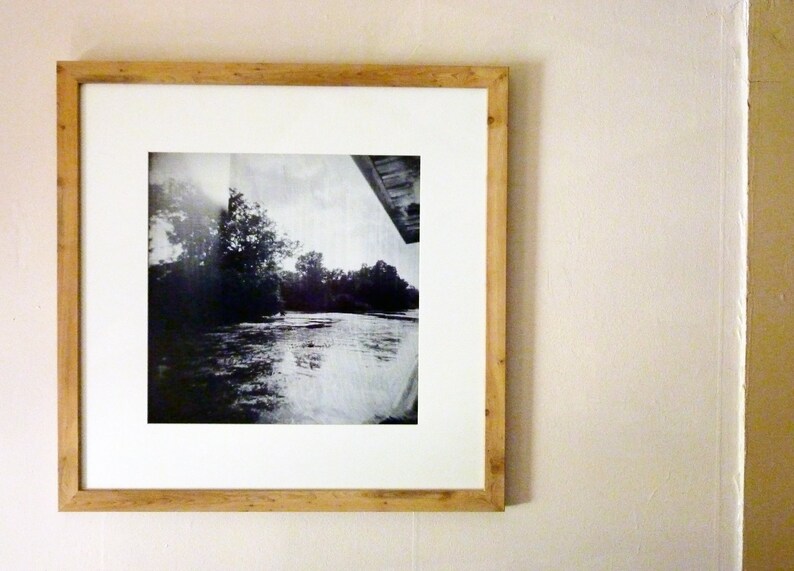 Original Framed Photograph by Jill Ensley swamp image 2