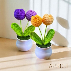 Handmade Crochet Flower in Pot | Sunflower Crochet | Daisy Flower Crochet | Tulip Crochet | Potted Crochet Plants | Forever & Birthday Gift