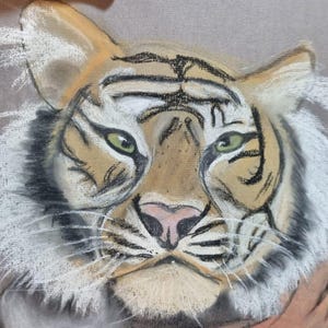 Tigre in stampa pastello