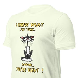 Camiseta unisex divertida de gato gruñón dibujada a mano. Camiseta con frase sarcástica "Tienes razón". Camiseta de gato de dibujos animados con un toque de humor.