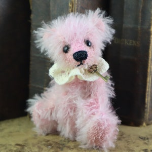 Complete Kit to make your own 5 Jointed Bear 'Rosa' Bramber Bears Hand dyed Mohair zdjęcie 10