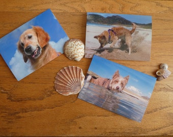 3 Beautiful A6 Luxury Beach Golden Retriever / Dog Photocards, Note cards, Blank Greeting Card