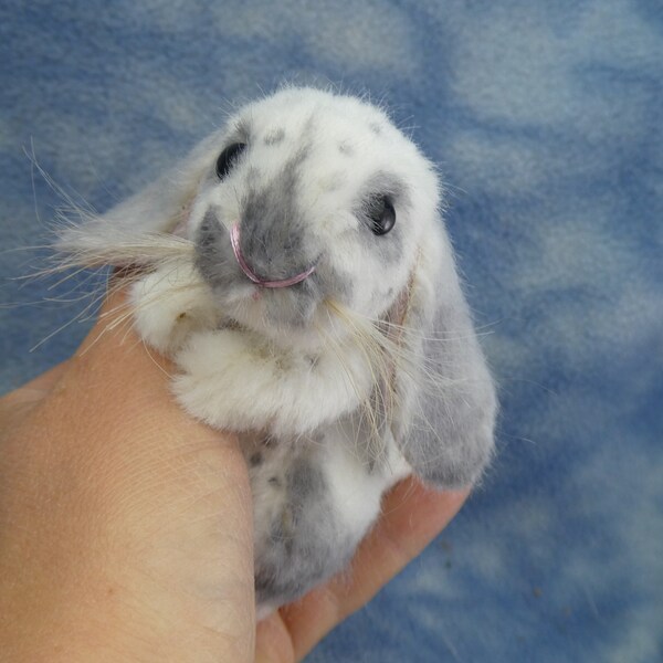 4" OOAK Adorable Miniature Soft Sculpture Artist Mini Lop Rabbit *Bramber Bears* Silva