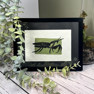 Linocut Bug Prints (Set of 5)