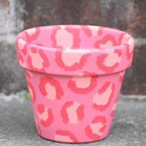 Hand painted terracotta pot, colorful leopard print, planter pink, housewarming gift, gift for her, cute pot, plants, 3-1/2 in tall.