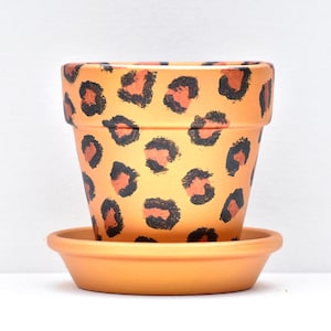 Hand Painted Terracotta Pot: Leopard Print Pot, Gold Saucer, 2.75"