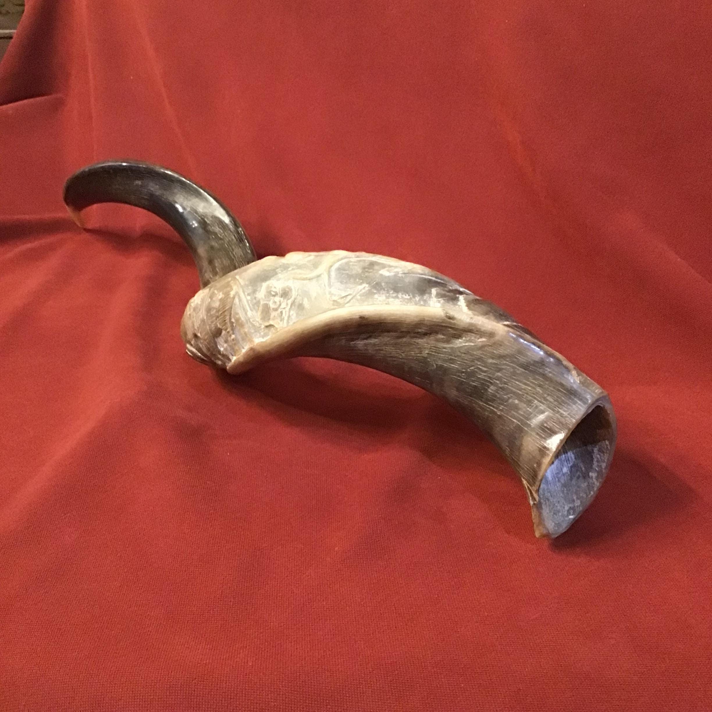 African Kudu Horns - Etsy
