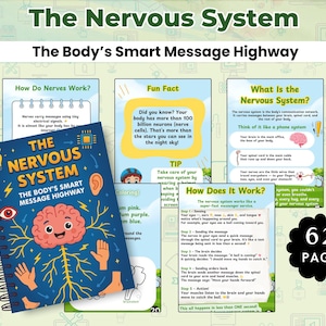 May include: A spiral-bound educational book titled "The Nervous System: The Body's Smart Message Highway" with illustrations of the brain, nerves, and body parts. The image includes informational pages and the text "62 PAGE".