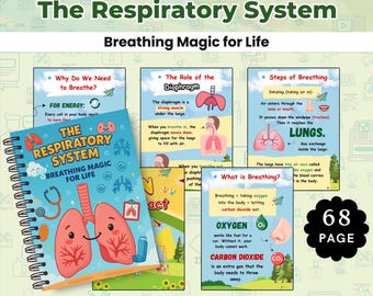 Sistema respiratorio para niños / Cuaderno de ejercicios de ciencias del cuerpo humano / Anatomía respiratoria y actividades / Imprimible para educación en casa