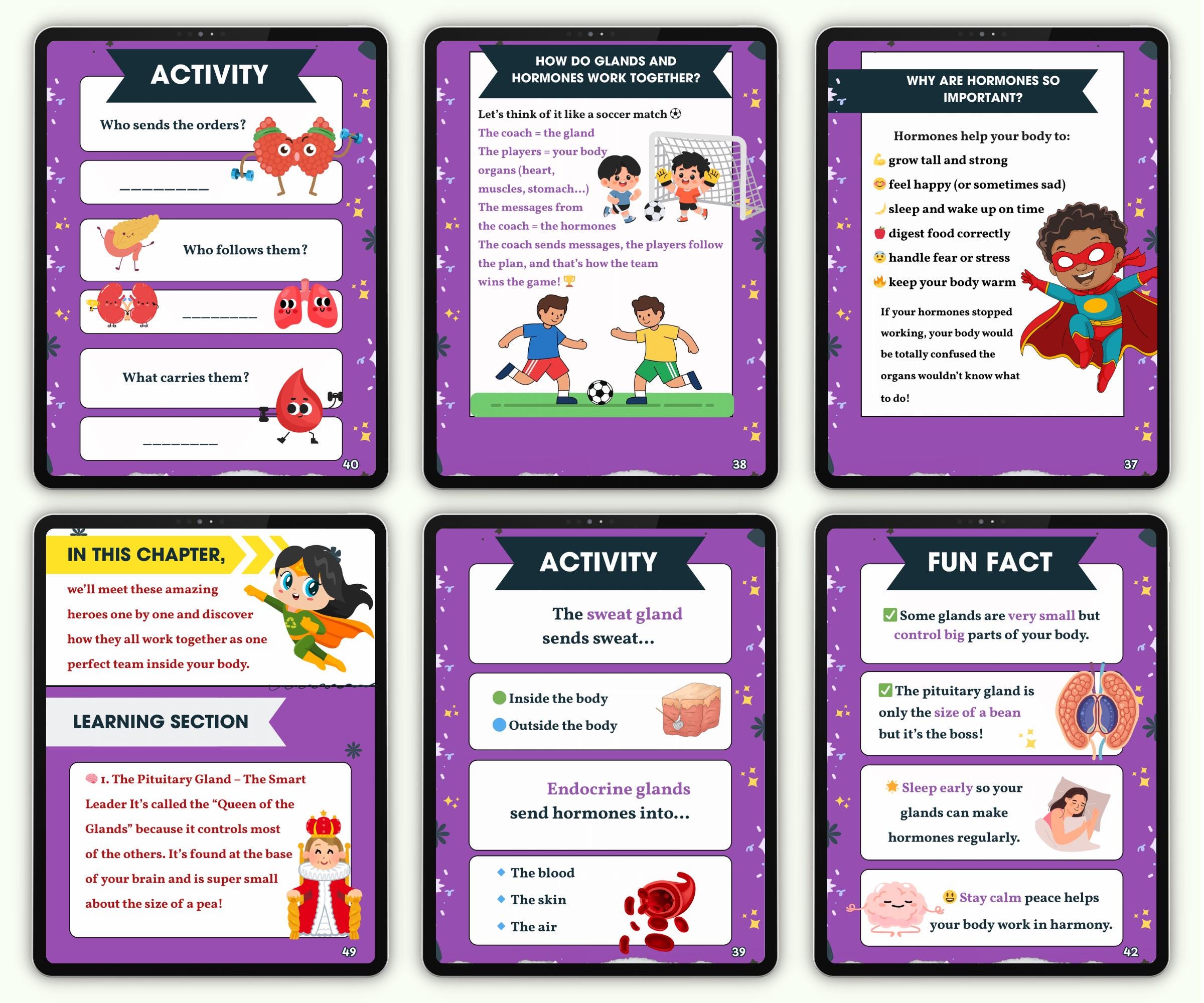 Endocrine System Workbook | Anatomy & Science Activities | Human Body ...