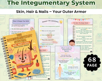 Integumentum System Workbook | Haut & Anatomie Aktivitäten | Lehrgang der menschlichen Körper-Wissenschaft | Hausschule zum Ausdrucken