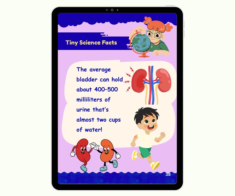 Urinary System Workbook | Kidney & Anatomy Activities | Human Body ...