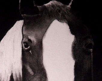 Retrato de cavalo em close-up, arte memorial para cavalos, desenho equino para imprimir, presente para quem perdeu um animal de estimação.