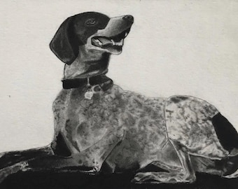 Anpassat husdjursporträtt i träkol och grafit