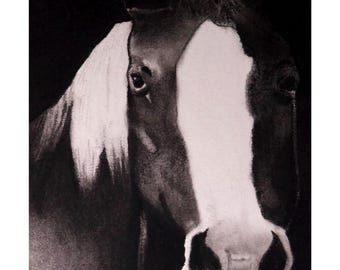 Dibujo a carboncillo de grafito, impresión digital de un caballo mascota.