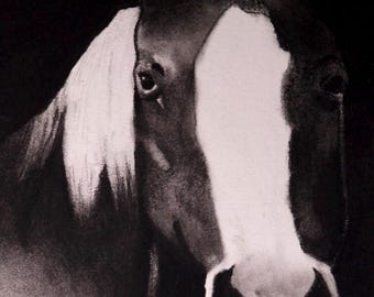 Bundel van close-up/reguliere portretafdruk paard, herdenkingskunst paard, afdrukbare paardentekening, cadeau huisdierverlies