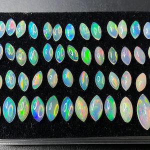 May include: A collection of oval-shaped opals displayed on a black tray. The opals exhibit a range of colors, including iridescent blues, greens, and yellows, with a polished, glossy finish. The gemstones are arranged neatly, showcasing their unique patterns.