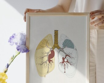 May include: Anatomy art print showing a detailed illustration of the human lungs and heart. The artwork is in a wooden frame, with the lungs in yellow and blue, and the heart in red. The print is held up by a person.