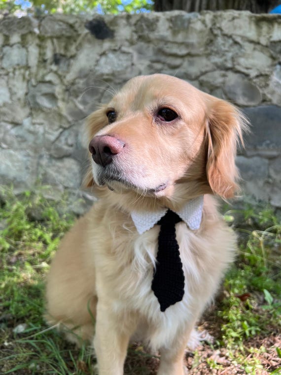 crochet dog tie
