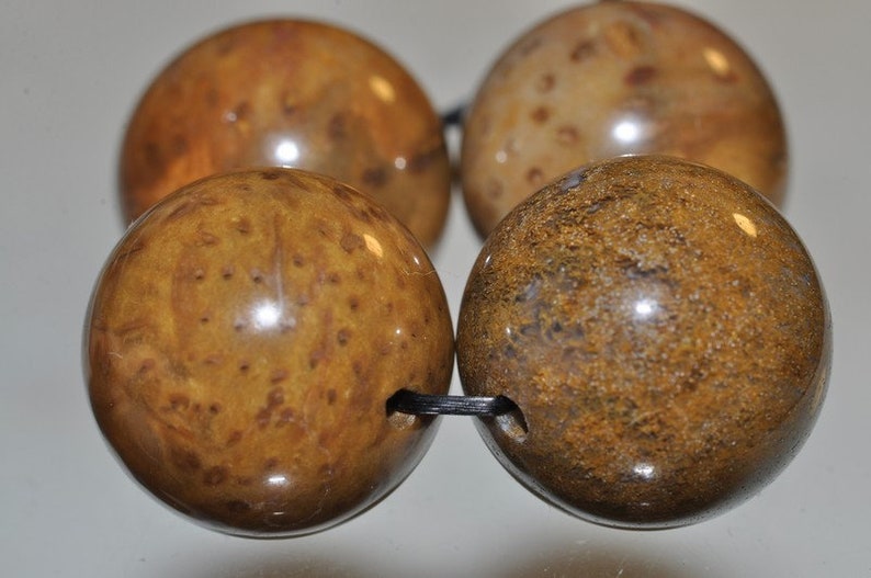 O1322 4 Pieces 16mm ***Excellent Quality~Petrified Fossil PALM WOOD Large Round Beads
