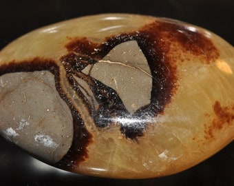 38x53x23mm Madagascar SEPTARIAN NODULE (también conocido como piedra del dragón) grande metafísico sanación palma worry Stone Gallet - N1218