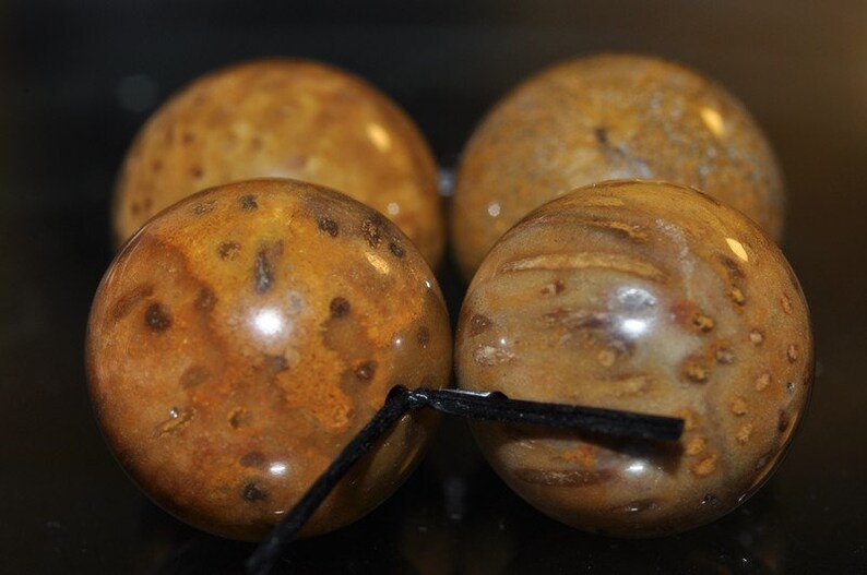 O1322 4 Pieces 16mm ***Excellent Quality~Petrified Fossil PALM WOOD Large Round Beads